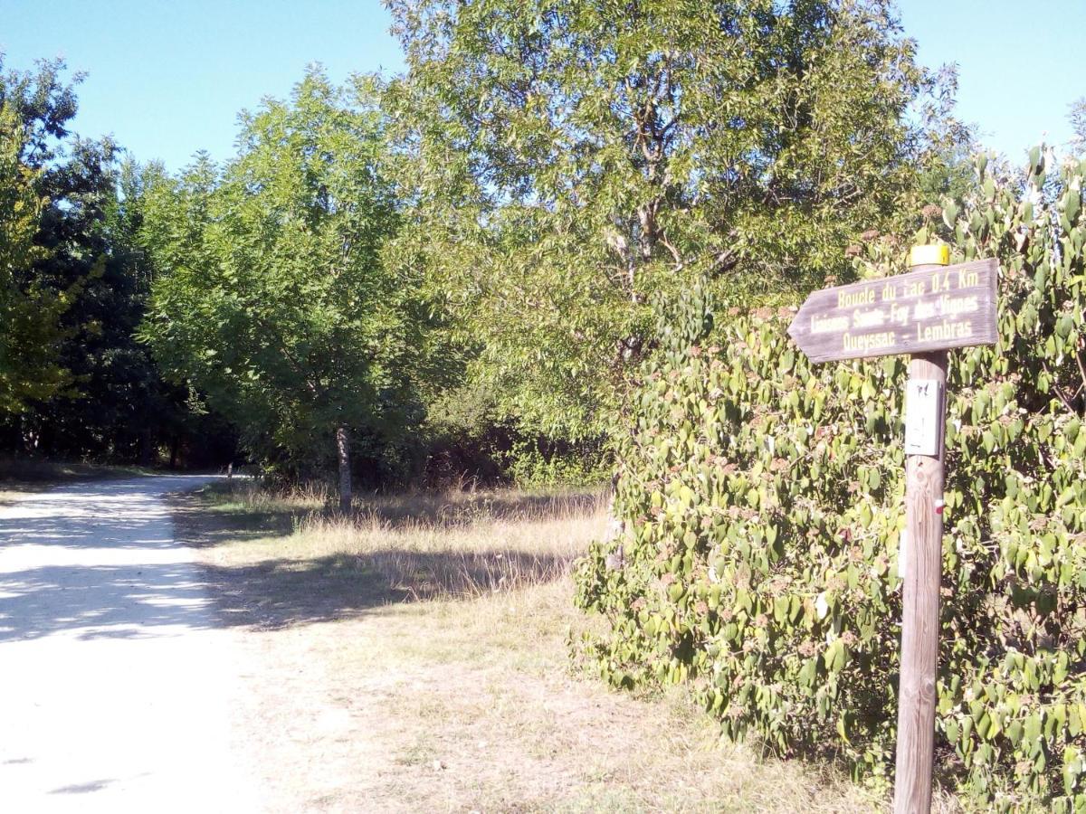 T2 36 M2 Pres Du Lac, Parc 55 Hectares Accessible A Pied ! ベルジュラック エクステリア 写真